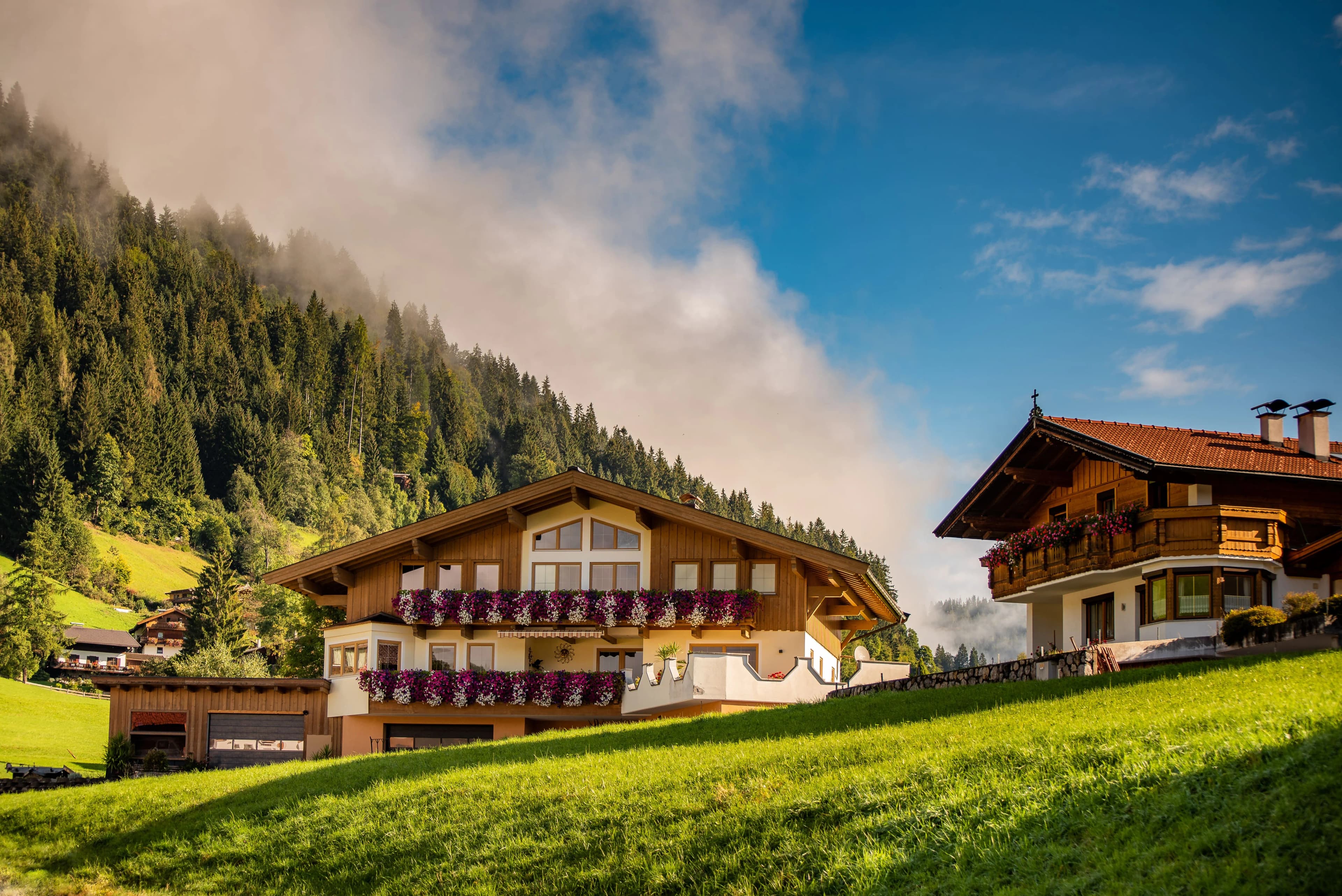 Hundefreundliches Hotel für Urlaub