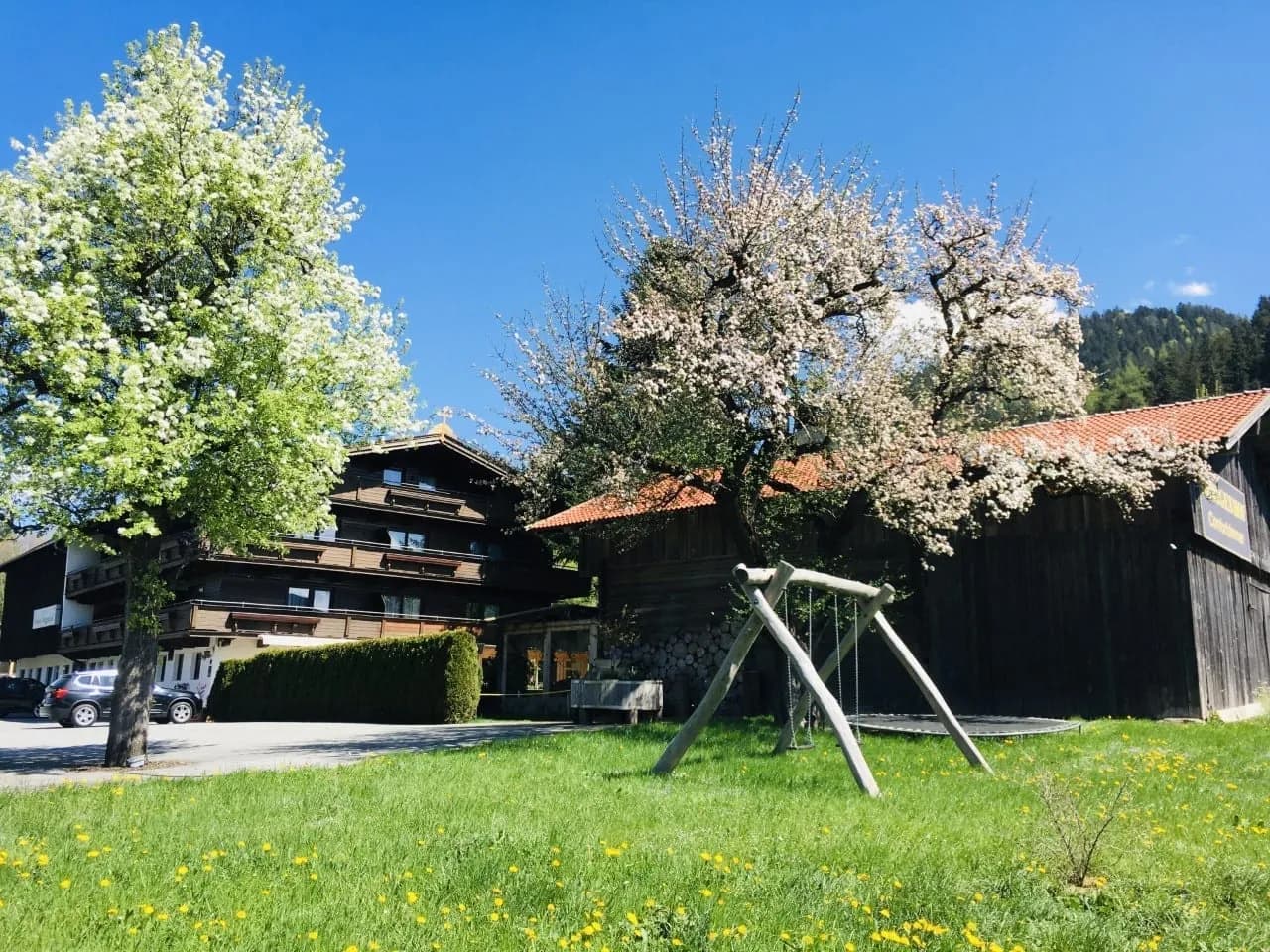 Denggenhof - Pension am Wilden Kaiser in Söll